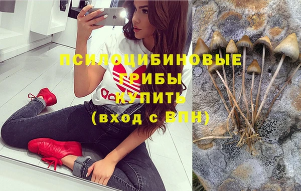 гидропоника Кинешма